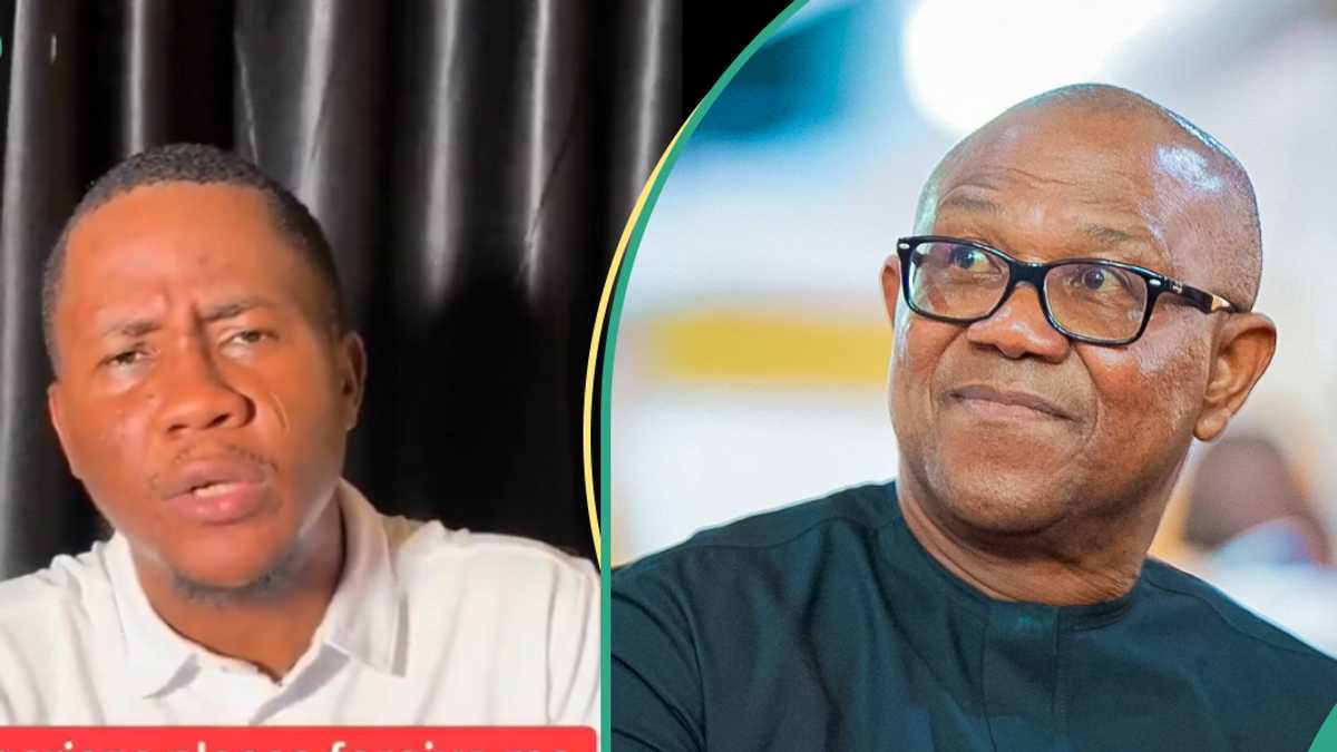 "Tinubu, I'm Sorry": Ardent Peter Obi Supporter Ditches LP, Declares Support for APC