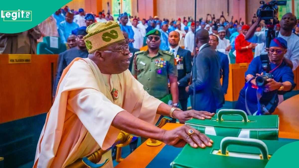 Tinubu: PDP Ta Tono 'Illolin' da ke cikin Kasafin 2025, Ta Gargadi Majalisa