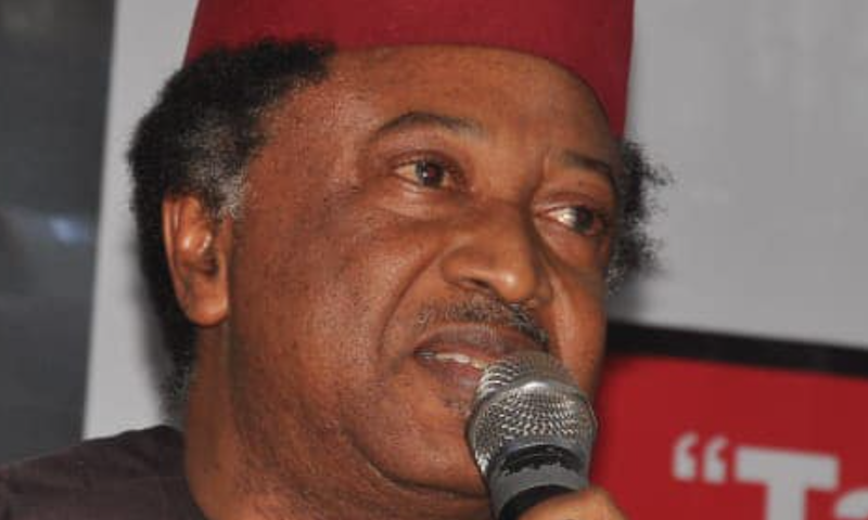 Why Emir Sanusi should not encourage her daughters to slap their husbands - Shehu Sani