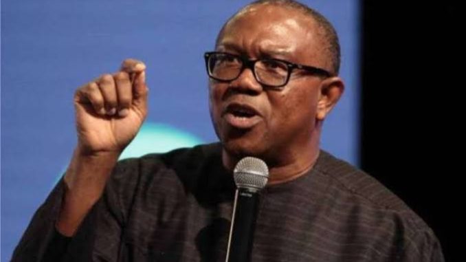 Why Tinubu should not rush his tax bills on Nigerians - Peter Obi