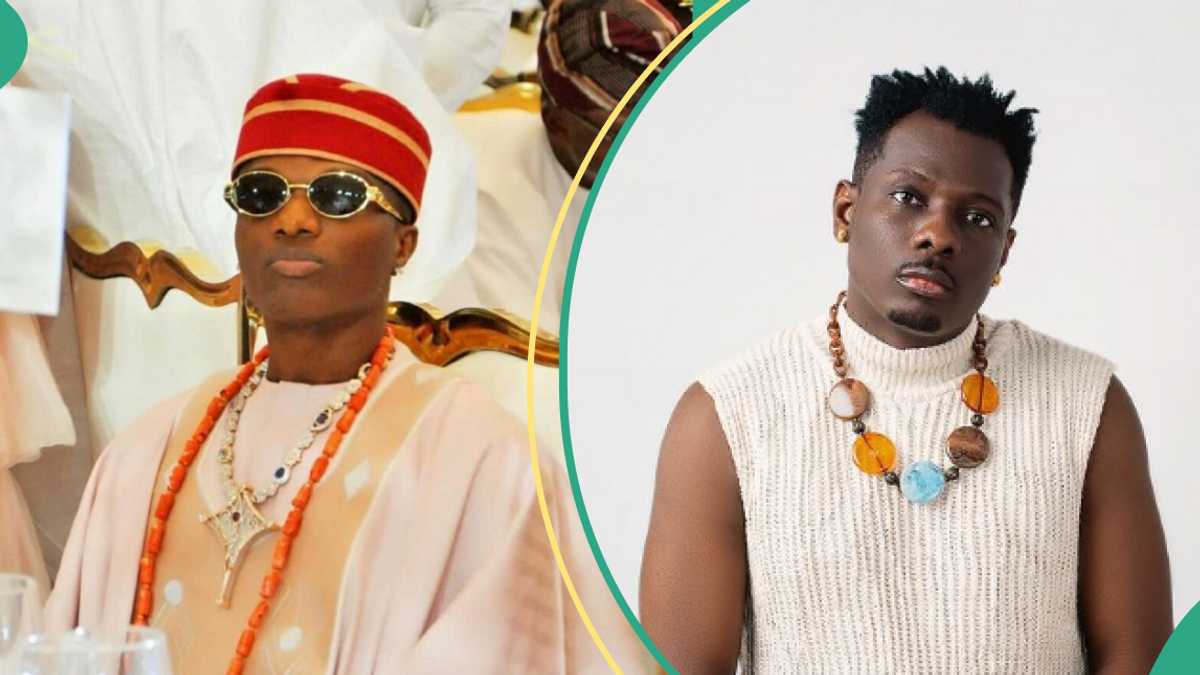 Wizkid: Terry Apala Analyses What Featuring Star Did to His Career, “He Gave Shortcut to Success”