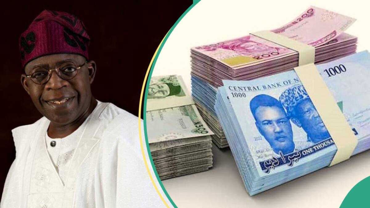 Yadda Gwamnatin Tinubu Ta Shirya Rabon Tallafin N25,000 ga Magidanta Miliyan 15