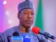 Zulum Reveals Real Reason Behind Rejection Of Tinubu's Tax Reform By Northern Governors